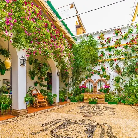 Atico San Andres Cordoba